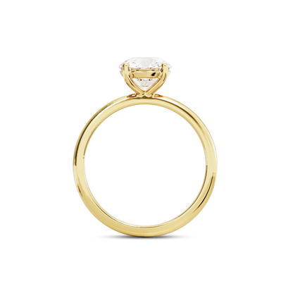 1 CT Eliza
