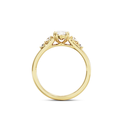 1 CT Sadie