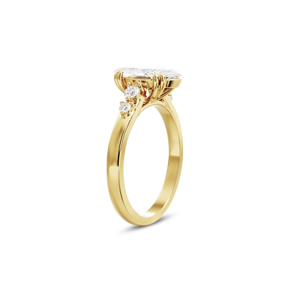 1 CT Sadie