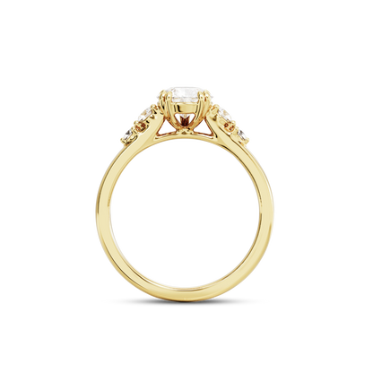 1 CT Sadie