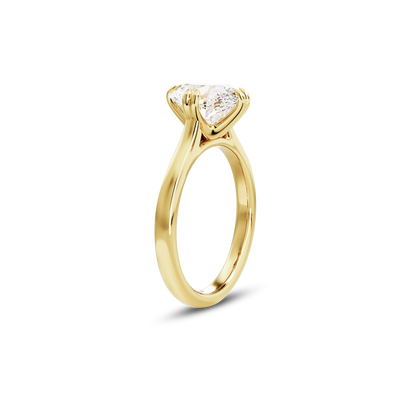 1 CT Vera