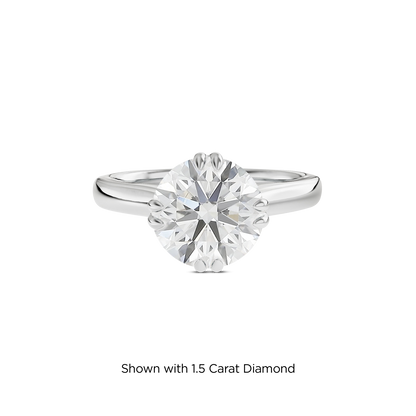 1 CT Vera