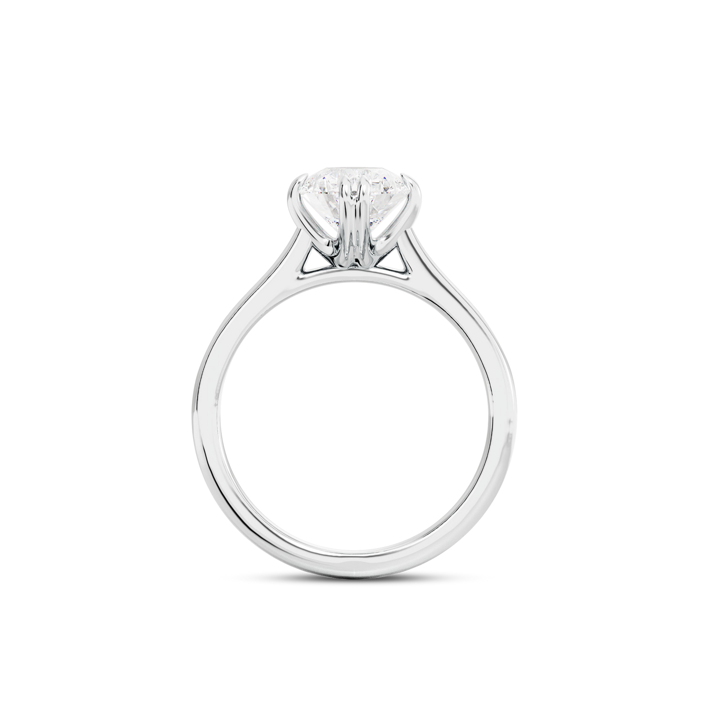 1 CT Vera