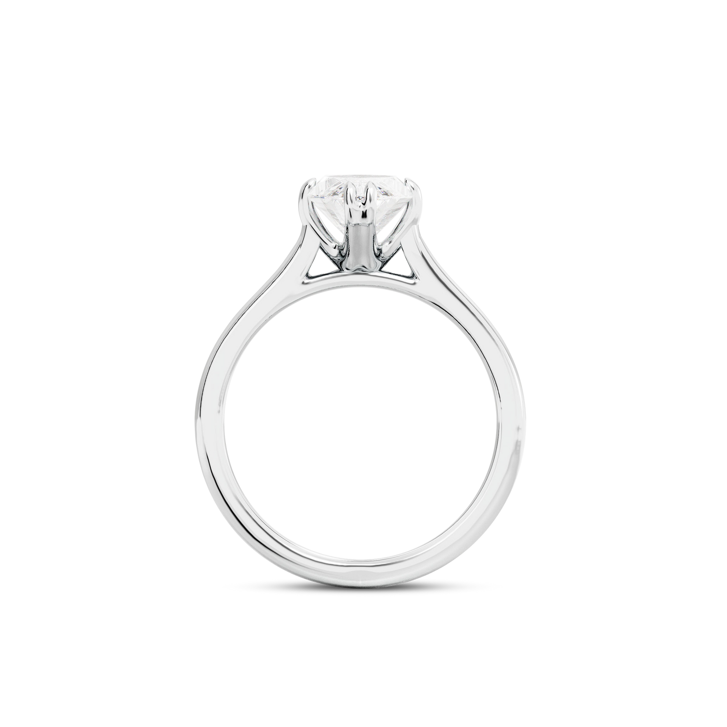 1 CT Vera