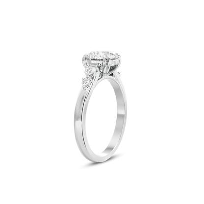 1 CT Sadie