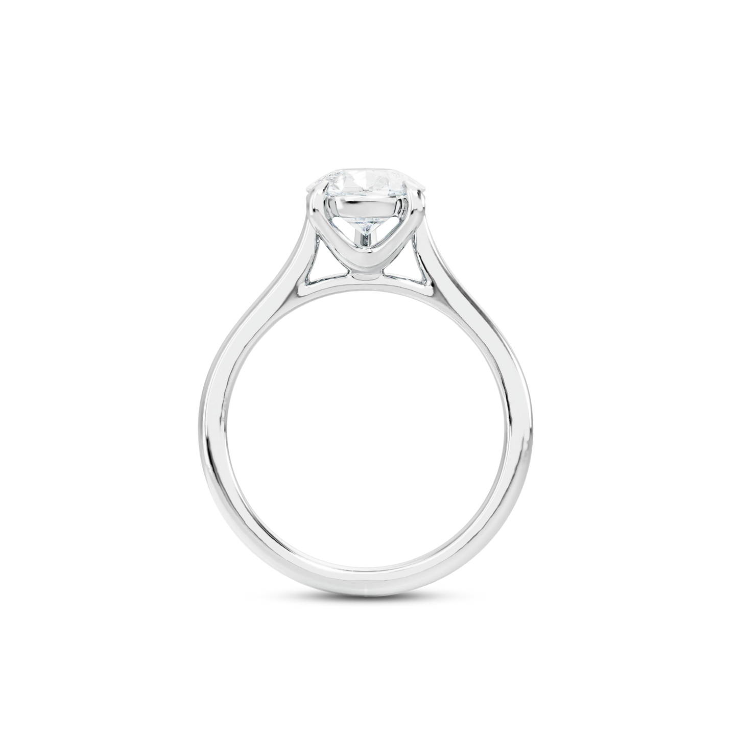 1 CT Vera