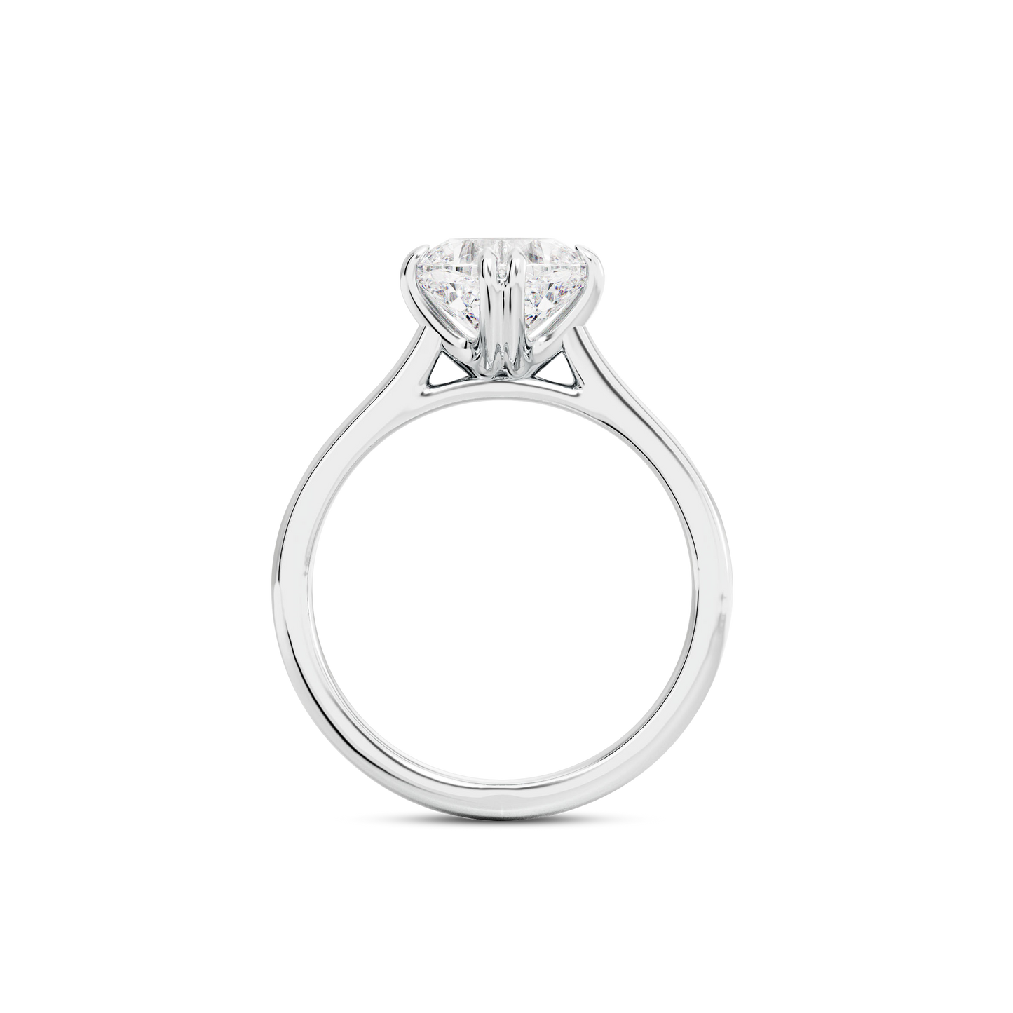 1 CT Vera