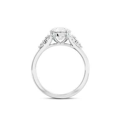 1 CT Sadie