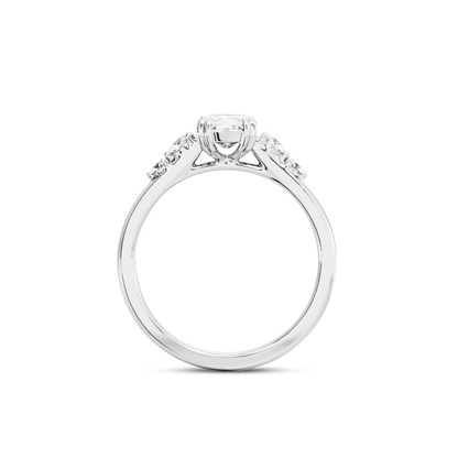 1 CT Sadie