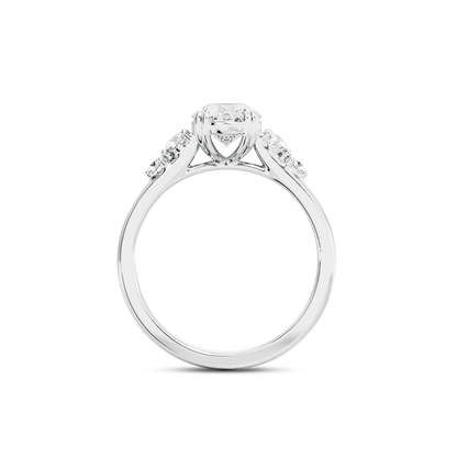 1 CT Sadie