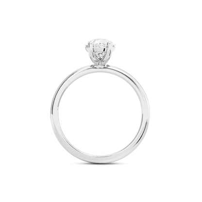 1 CT Eliza