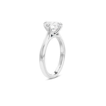 1 CT Vera