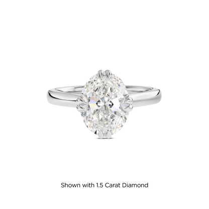 1 CT Vera
