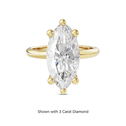 2.5 CT Eliza