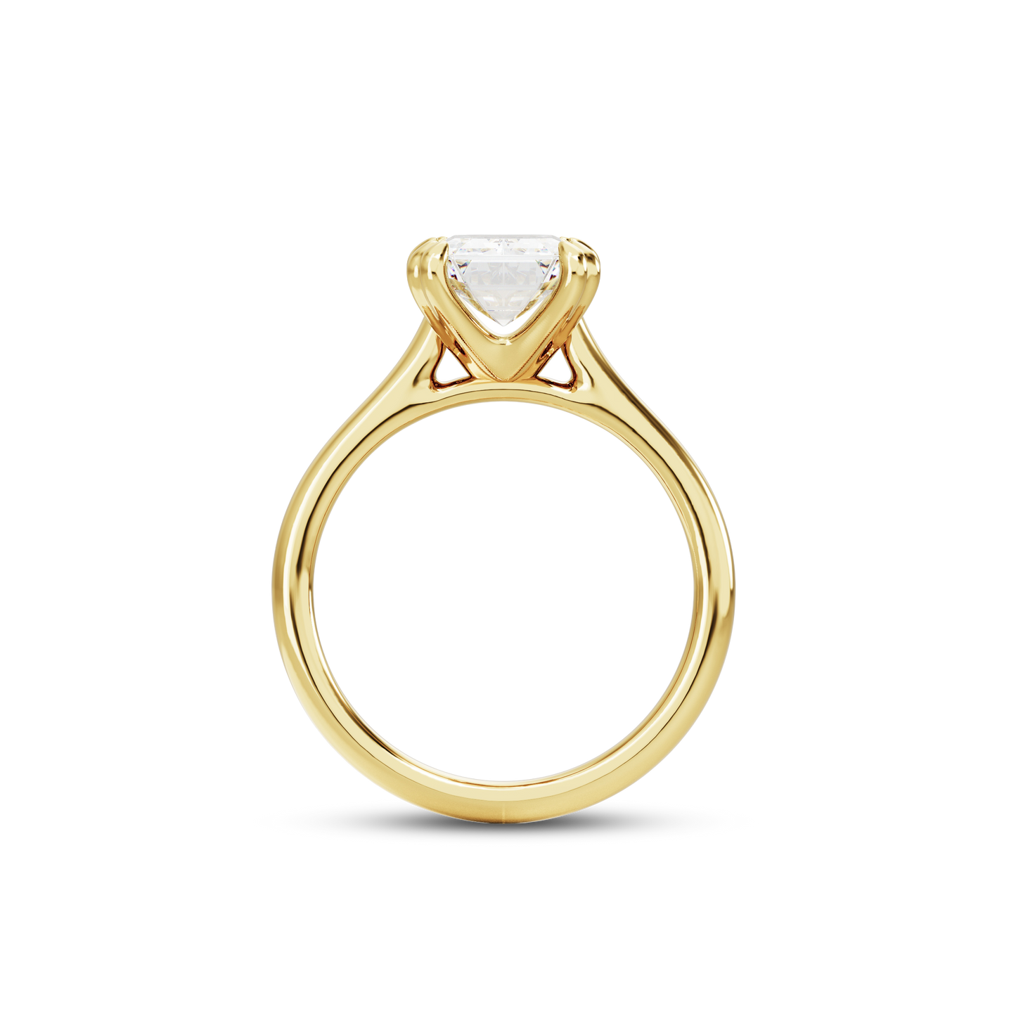 2.5 CT Vera