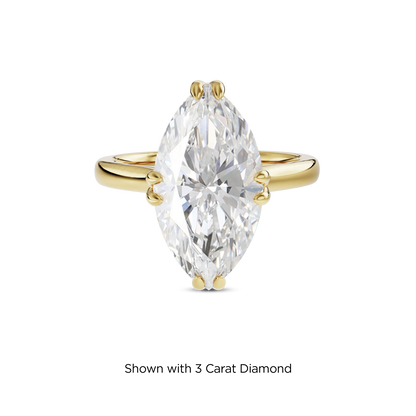 2.5 CT Vera
