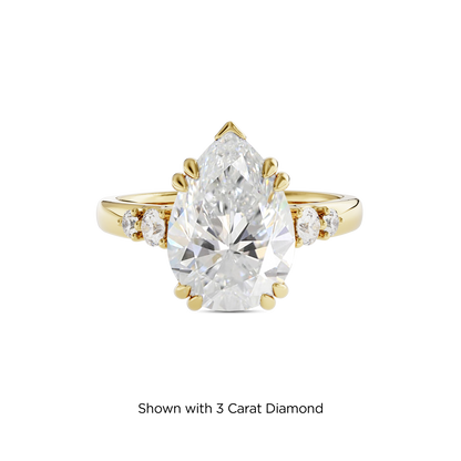 2.5 CT Sadie