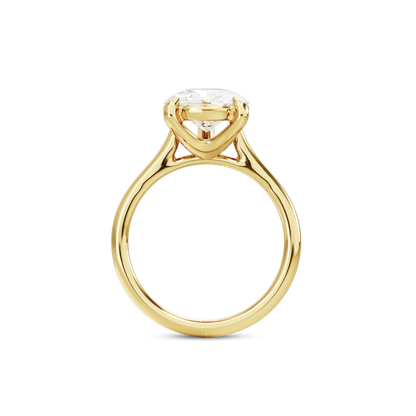 2.5 CT Vera