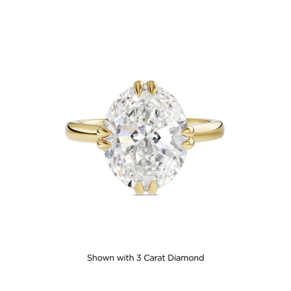2.5 CT Vera