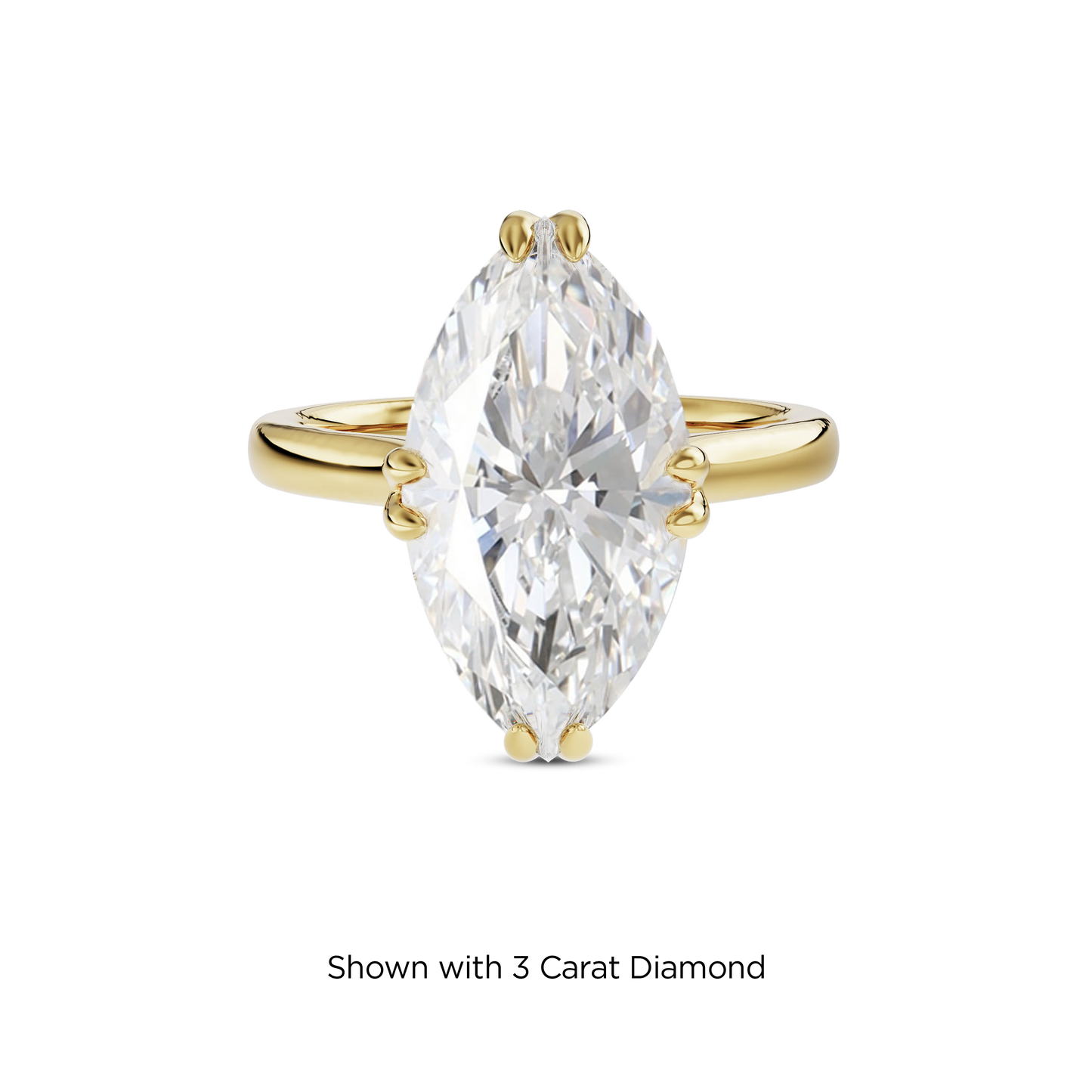2.5 CT Vera