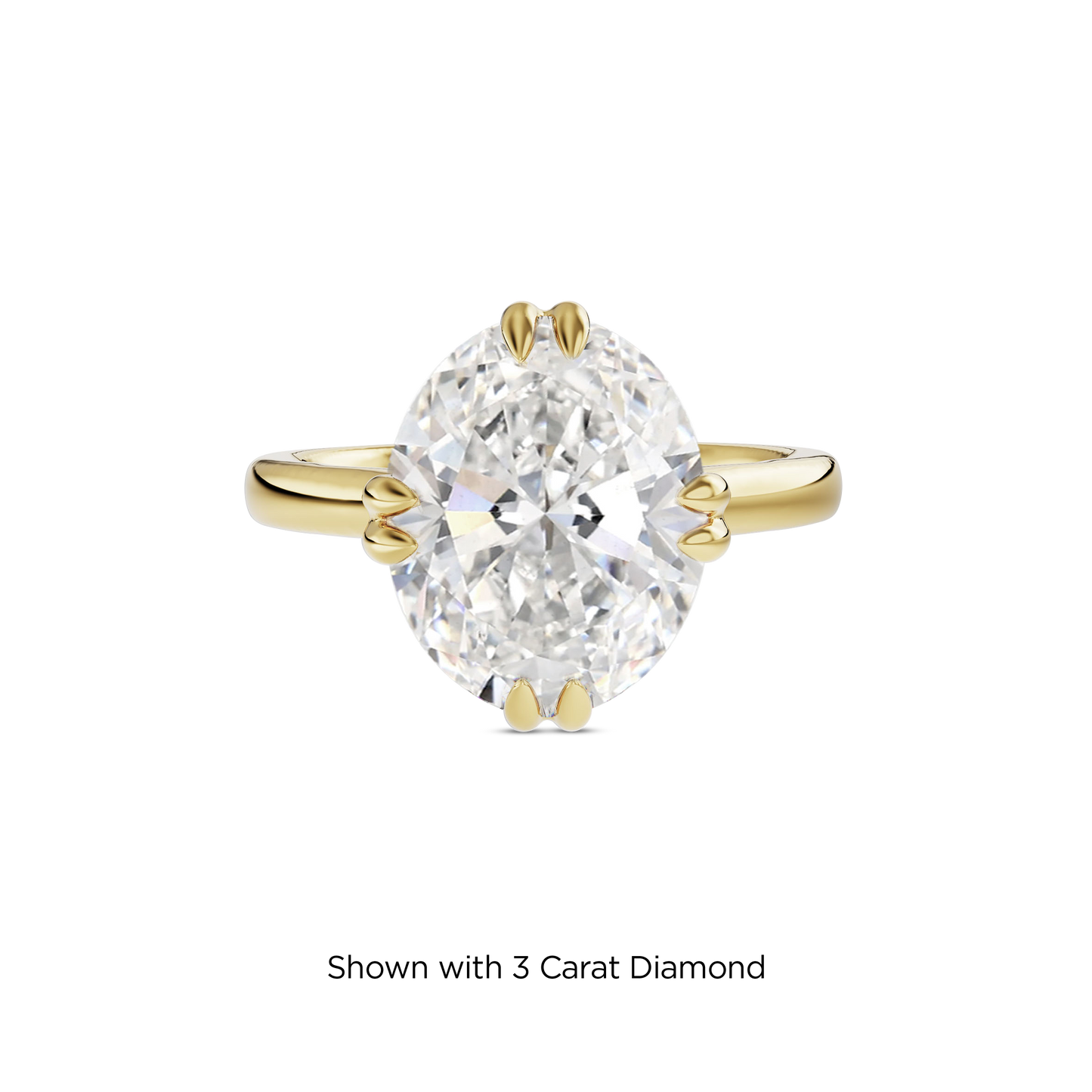 2.5 CT Vera