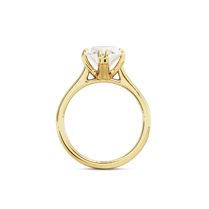 2.5 CT Vera