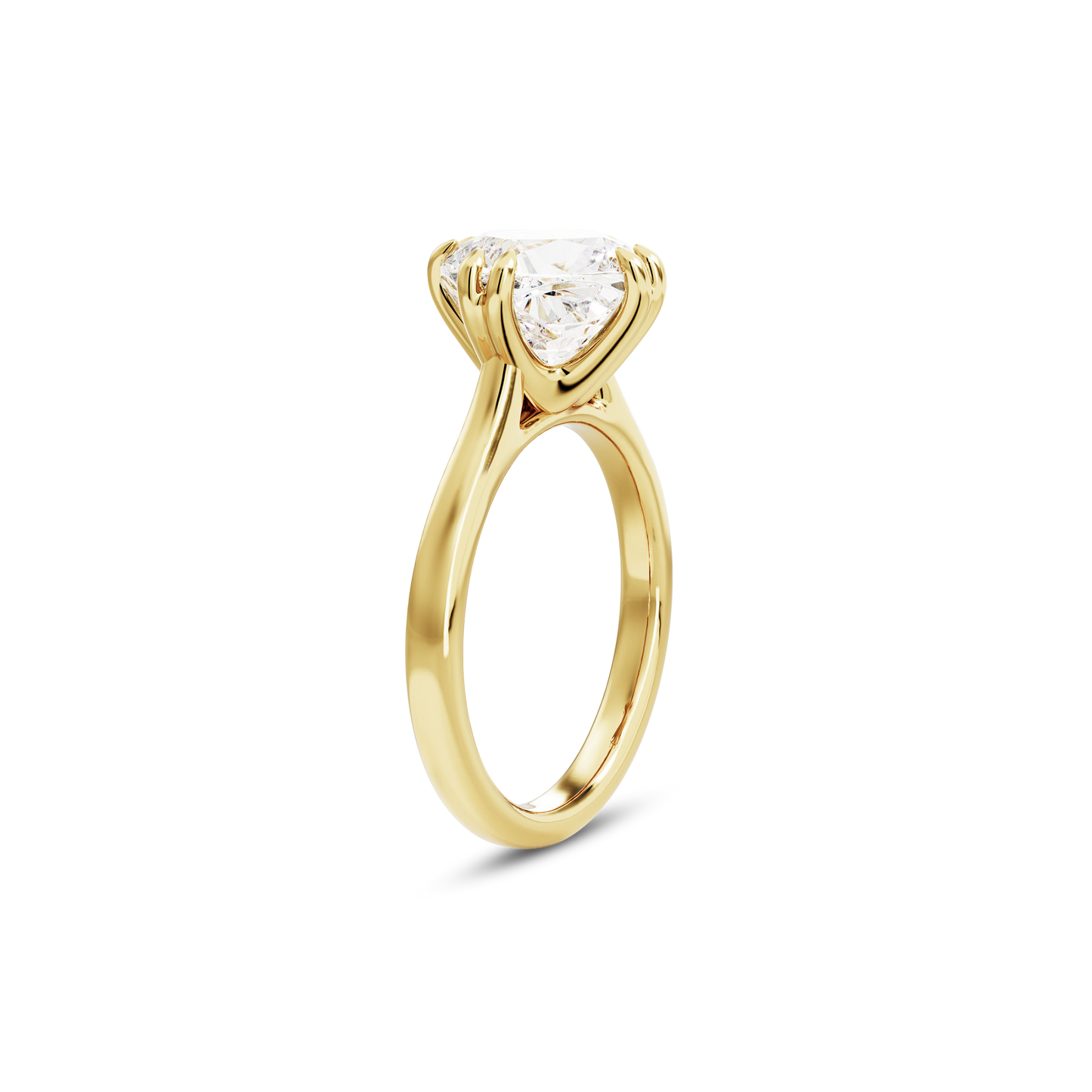 2.5 CT Vera