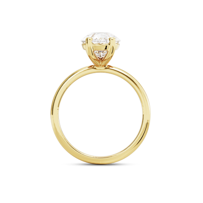 2.5 CT Eliza