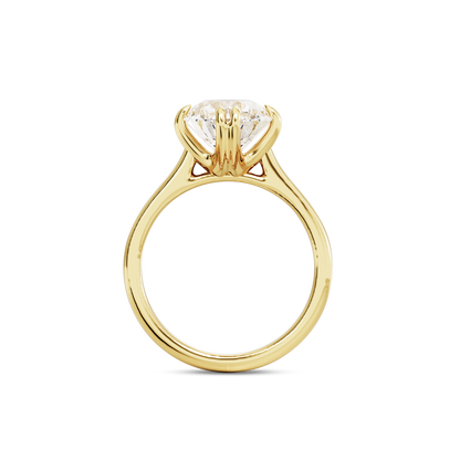 2.5 CT Vera