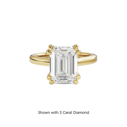 2.5 CT Vera