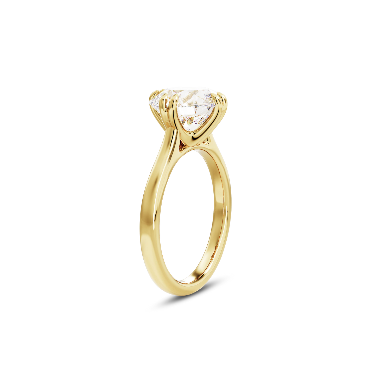 2.5 CT Vera