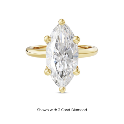 2.5 CT Eliza