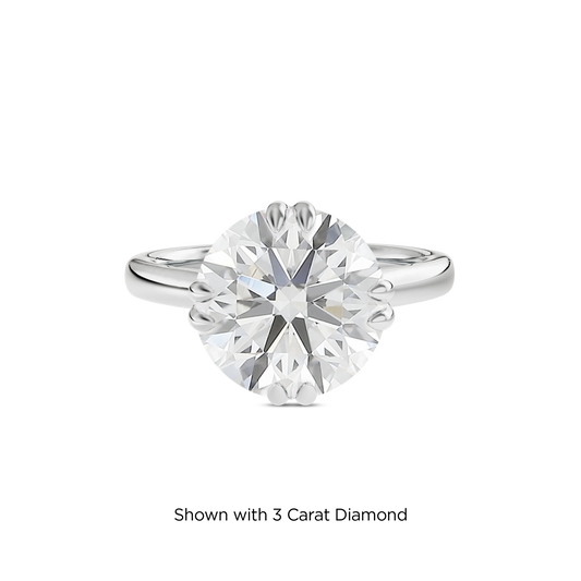 2.5 CT Vera