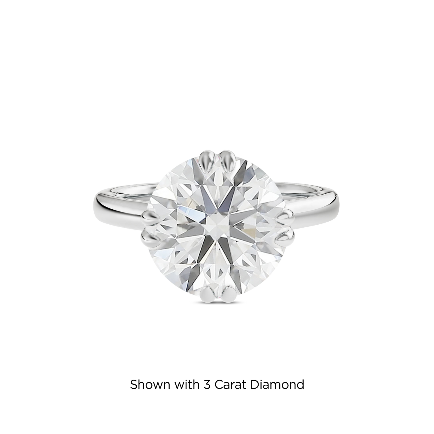 2.5 CT Vera