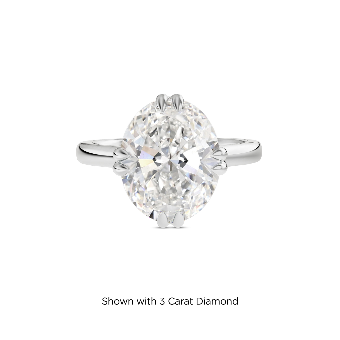 2.5 CT Vera
