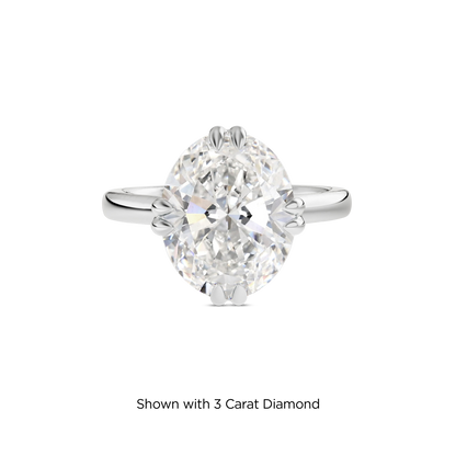 2.5 CT Vera