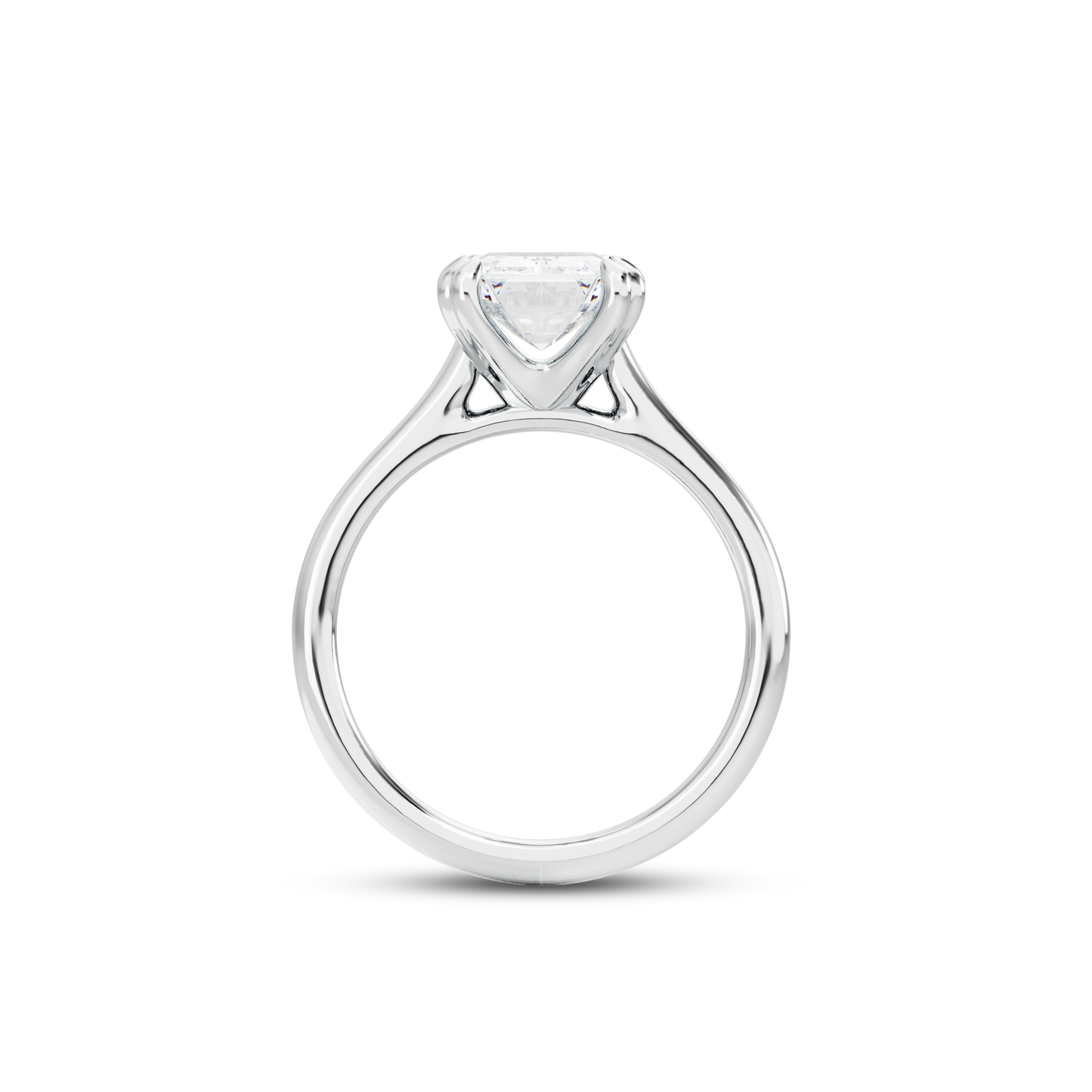 2.5 CT Vera