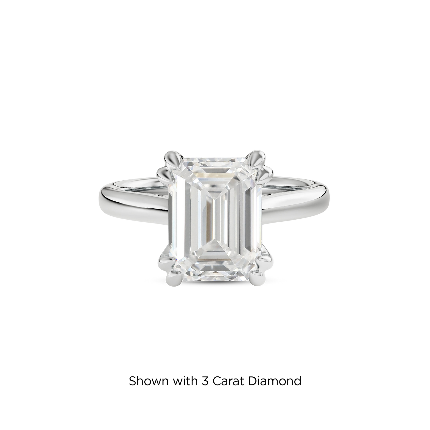 2.5 CT Vera