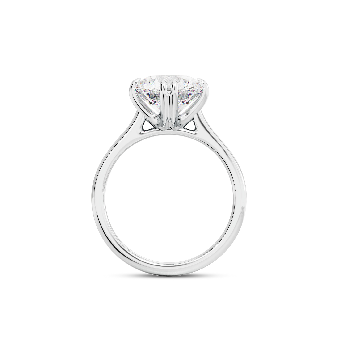 2.5 CT Vera