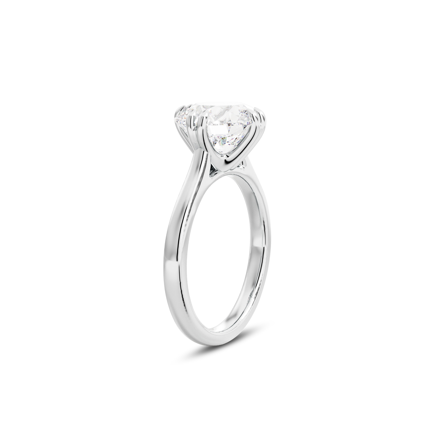 2.5 CT Vera