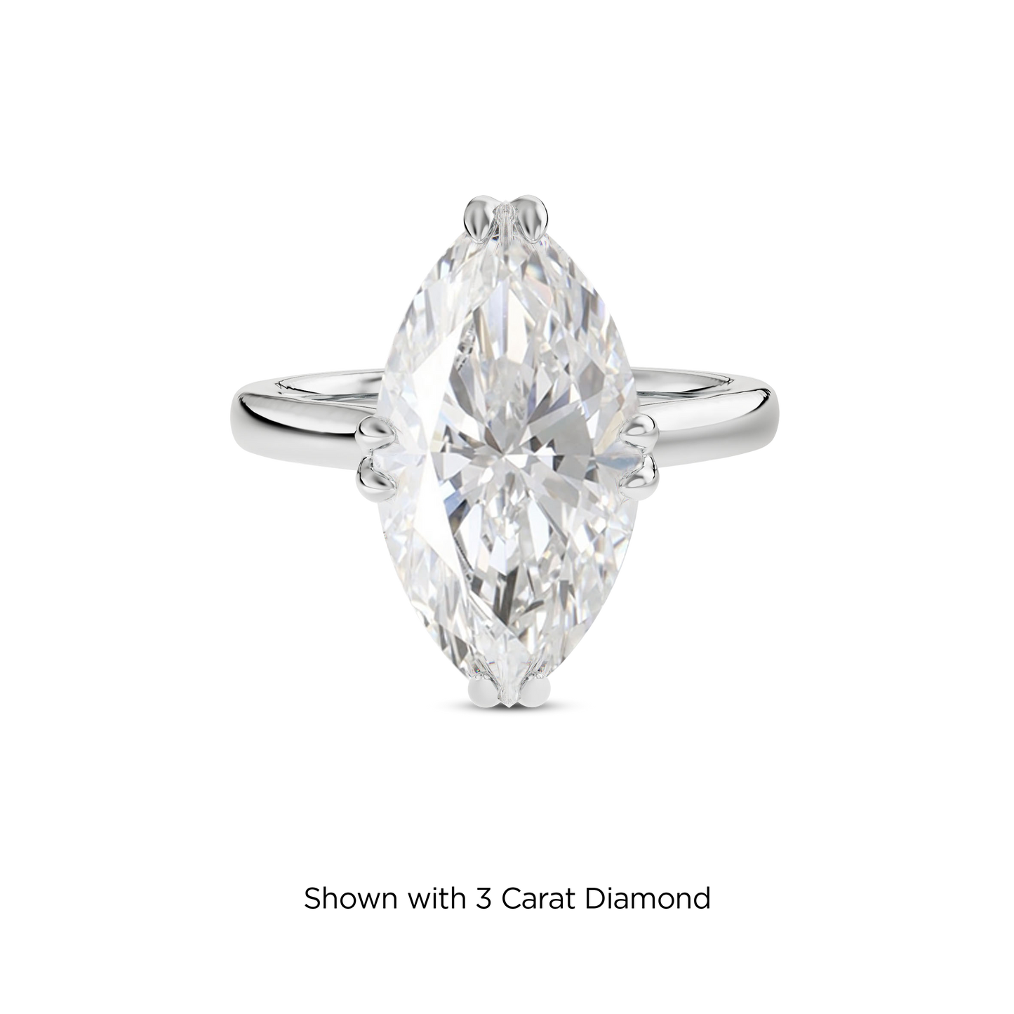 2.5 CT Vera