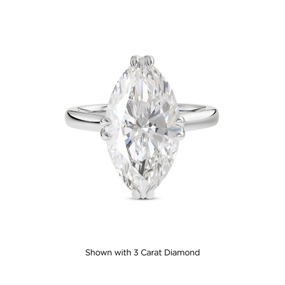 2.5 CT Vera