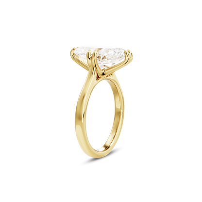 2 CT Vera