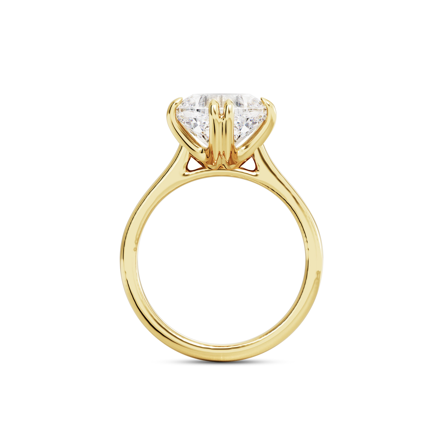 2 CT Vera