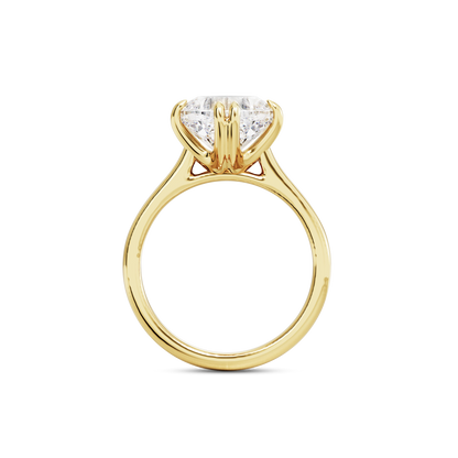 2 CT Vera
