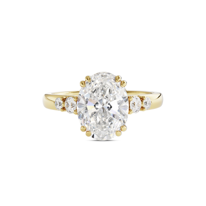 2 CT Sadie