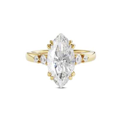 2 CT Sadie