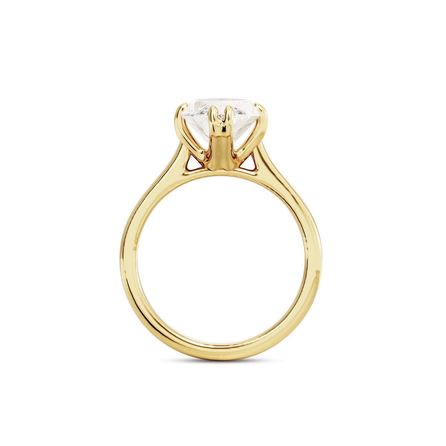 2 CT Vera