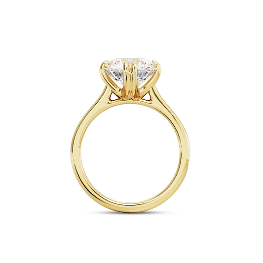 2 CT Vera