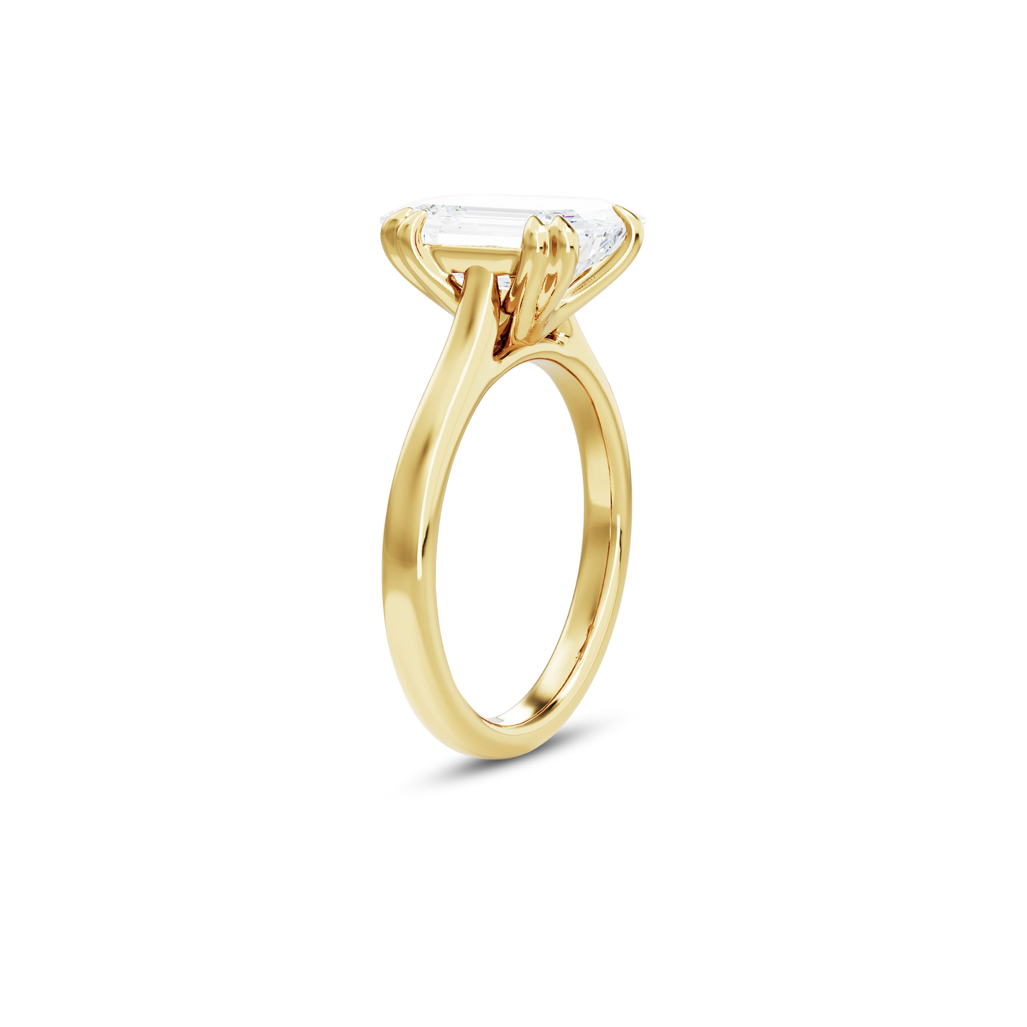 2 CT Vera